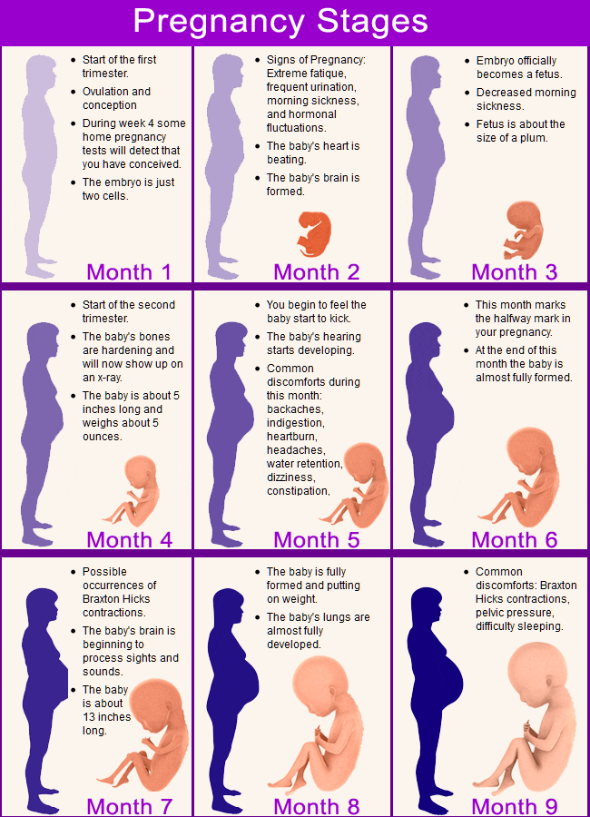 What to Expect in Pregnancy