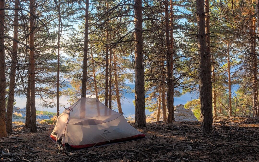 Where and Why Should Go Camping this Summer