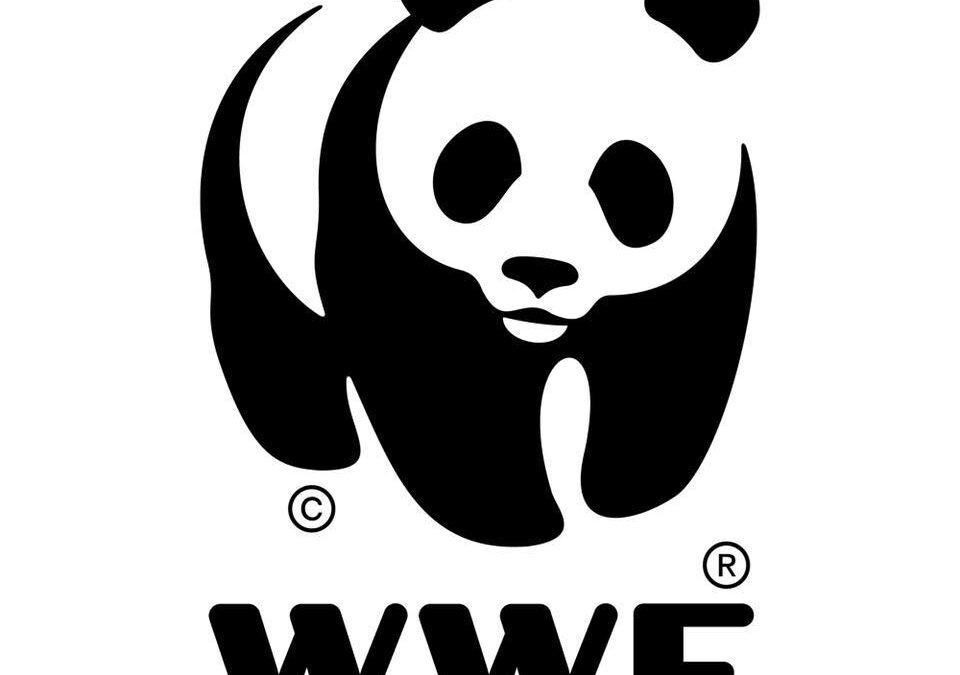 SM Prime and WWF Philippines announce partnership towards responsible reporting on climate change solutions
