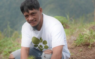 Planting dreams with ‘Grow Trees Community’ in Benguet